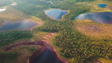 Forward-tilt-down-drone-shot-of-a-large-national-park-in-northern-Finland