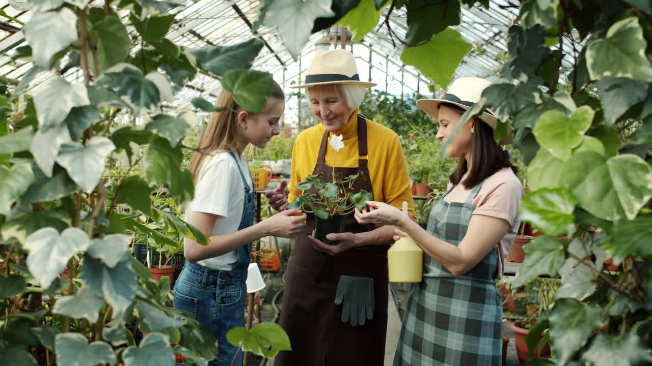Grandmother, daughter and granddaughter tending plants in a greenhouse