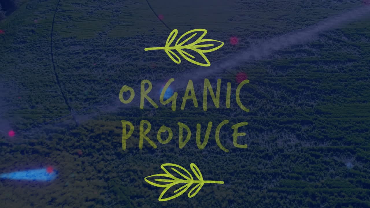 유기농 농산물 텍스트를 가진 다채로운 떠다니는 점의 애니메이션이 녹색 의 공중 시야에서 보여집니다.