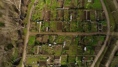 Aerial-Shot-of-Cultivated-Agriculture-Field