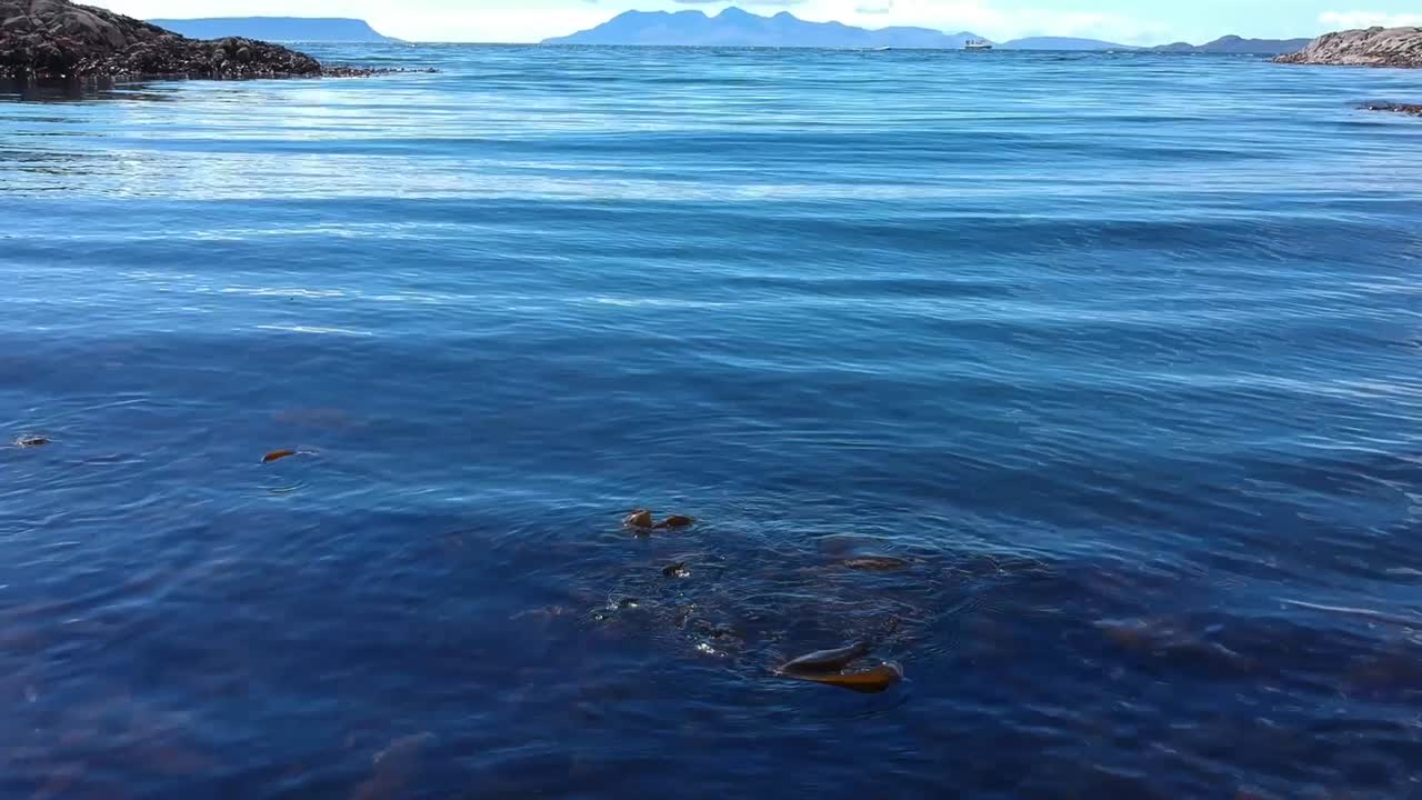 tiro de dron inclinado de la superficie del agua