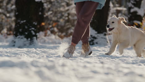 woman running in the snow with her dog, having a good time on a walk in the winter forest