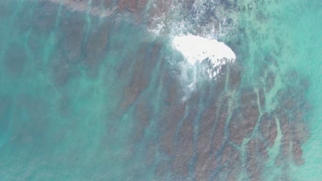 persiguiendo las olas en la costa de la isla de bali antena