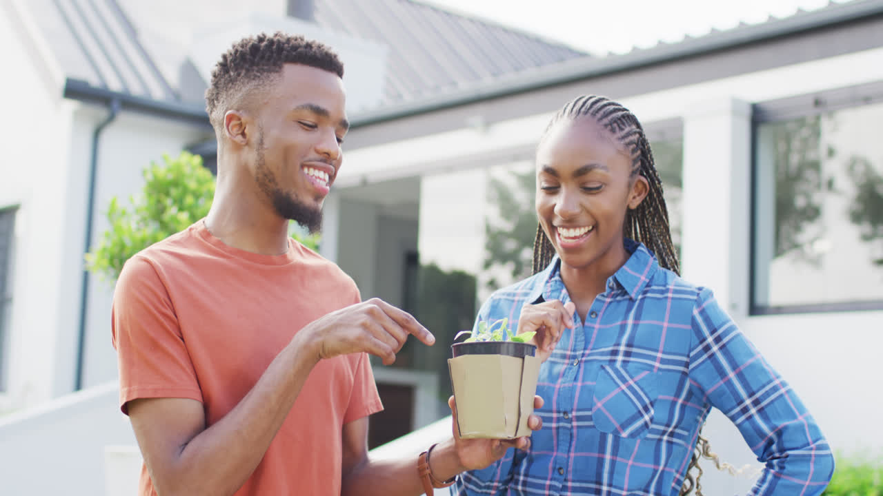 una feliz pareja afroamericana con un brote de planta en el patio trasero