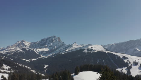 Drone-Volando-Entre-Pinos-Y-Revelando-Un-Hermoso-Valle-Cubierto-De-Nieve