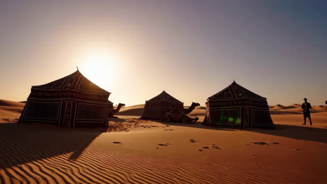 desert camp at sunrise with camels