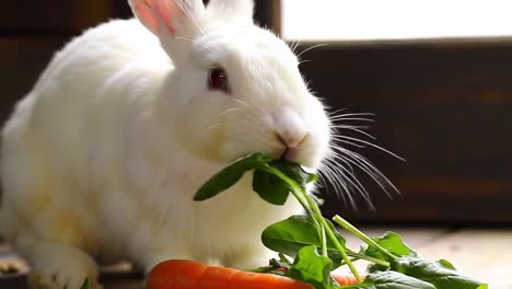 a whimsical white rabbit enjoys fresh greens and carrots in a cozy indoor setting, capturing the charm and playfulness of this adorable creature