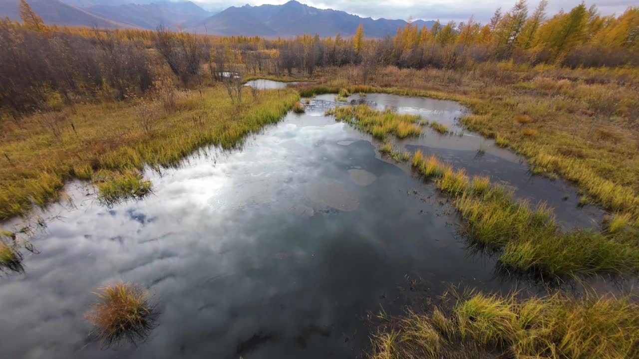 Explore tranquil wetlands adorned in autumn colors, captured from above as gentle water reflects the dramatic sky. Nature unveils its beauty in this serene escape into the wilderness.