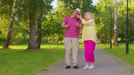 Pareja-De-Ancianos-Con-Estilo-Abuela-Abuelo-Bailando,-Escuchando-Música-En-Parlantes-Musicales-En-El-Parque