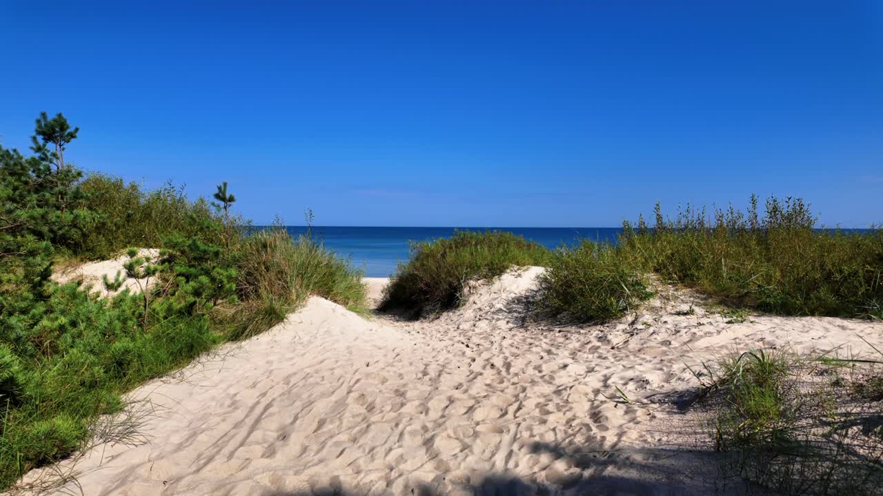 Sandy beach path through dunes and greenery leading to a calm blue ocean under a clear sky, capturing the serenity and beauty of a peaceful coastal landscape