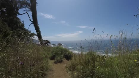 walking up to the edge of a cliff overlooking the pacific ocean