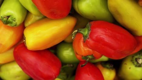 a lot of red pepper closeup panning on a 4k background in the store for buyer.