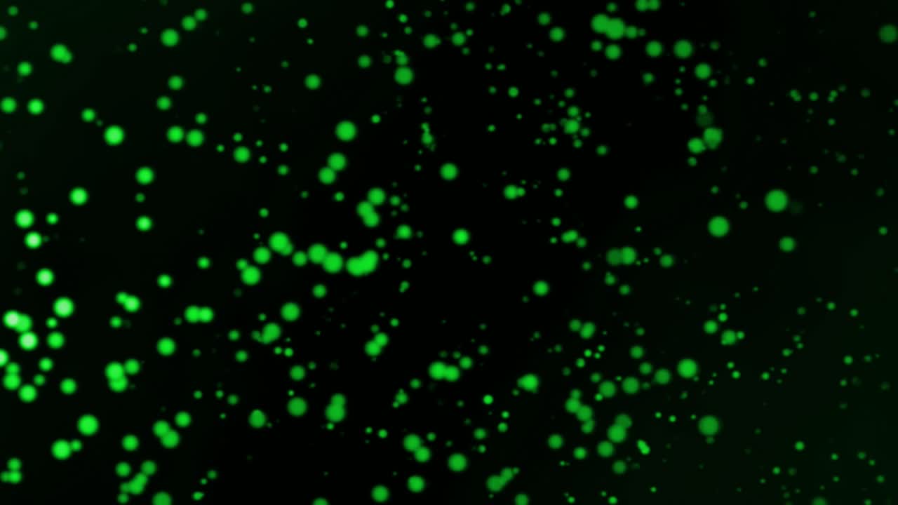 Green particle fields moving slowly opposite directions