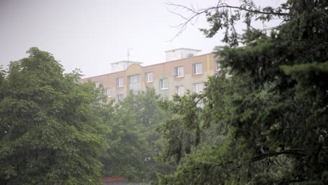 Panel-flats-through-green-trees-in-heavy-rain