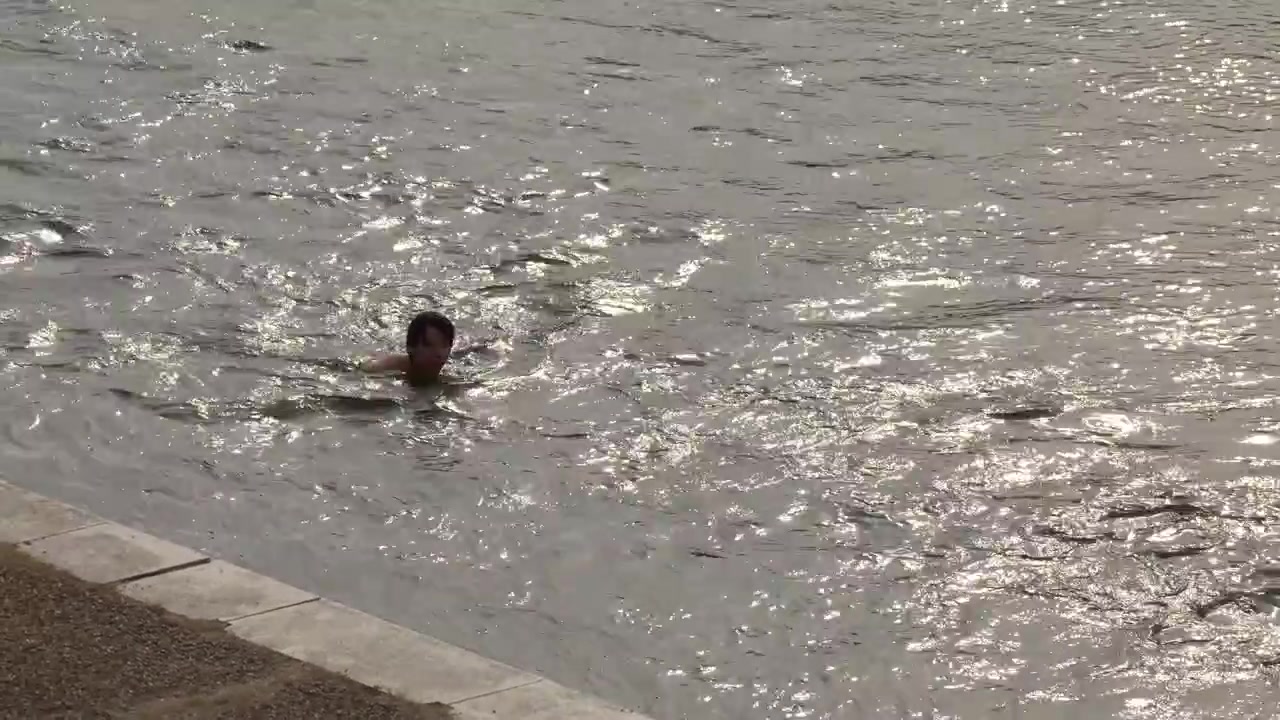 High angle view of a man swimming in a sunlit river with shimmering water.