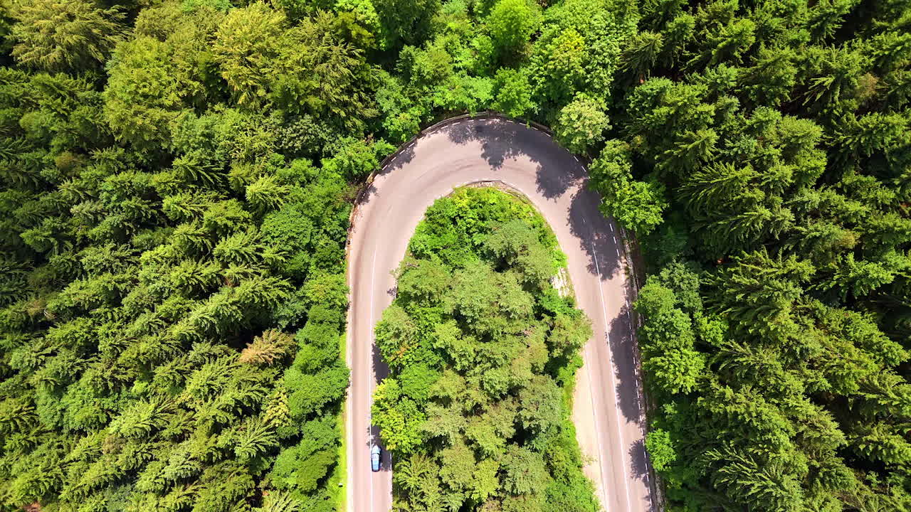 Turn of the road surrounded by the lush woods. Several cars ride by the highway. Top perspective