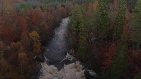 Antena-Drone-Sobrevuelo-Pan-Encima-De-Los-Rápidos-Del-Río-En-Otoño-De-Escocia