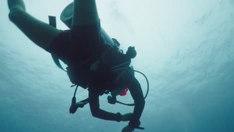 a scuba diver explores the underwater world