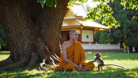 monk and monkey in a temple garden