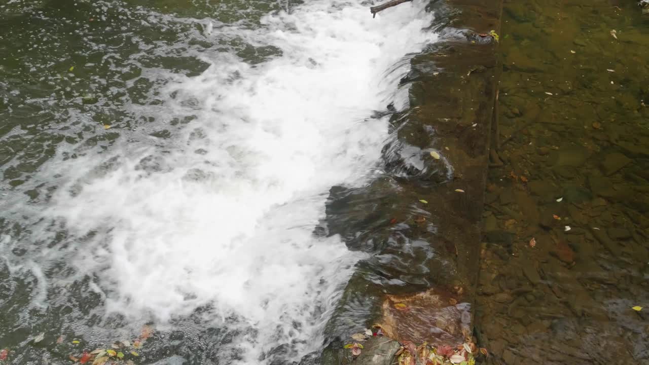 Cascata vicino al Ponte Coperto, Mulino di Thomas al Wissahickon Creek.