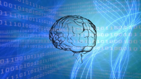 Animation of spinning brain over binary coding