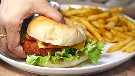chicken burger and fries