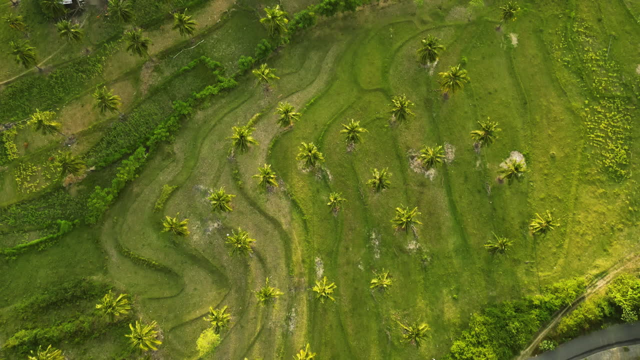 인도네시아 롬복 의 드론 클립 에서 볼 수 있는 열대적 인 이국적 지형