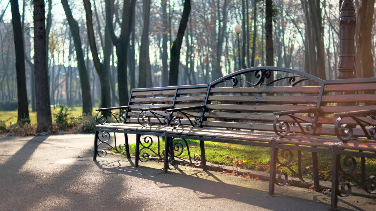 View of Copou Park in Iasi, Romania. Bench, bare trees, green grass