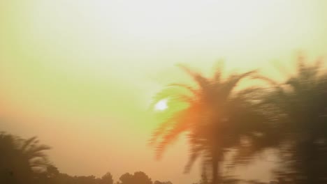 estilo de sol pasando a través de los árboles puesta de sol naranja amanecer india tren punto de vista cámara lenta posibilidad remota mañana