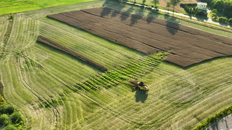 Aerial-view-of-a-combine-harvester-working-in-a-green-and-brown-field,-creating-neat-rows