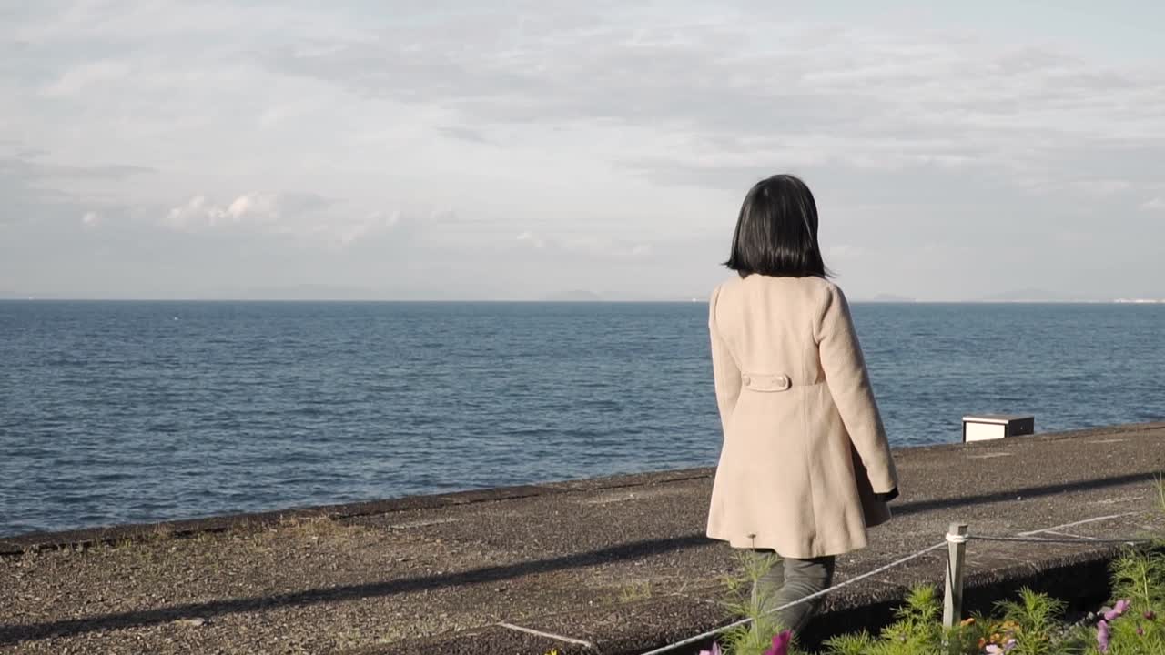 일본의 가을날 석양에 일본 코스모스 "아키자쿠라" 꽃을 천천히 걷는 소녀