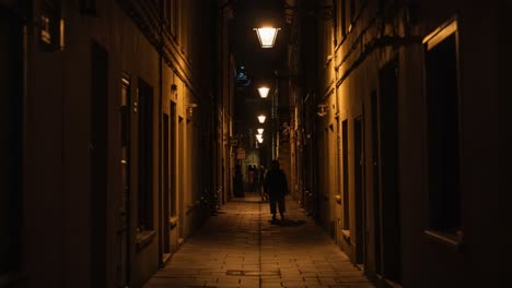 A Serene Night Stroll: Capturing the Tranquility of an Empty Cobblestone Alley Illuminated by Lanterns and the Soft Glow of Streetlights