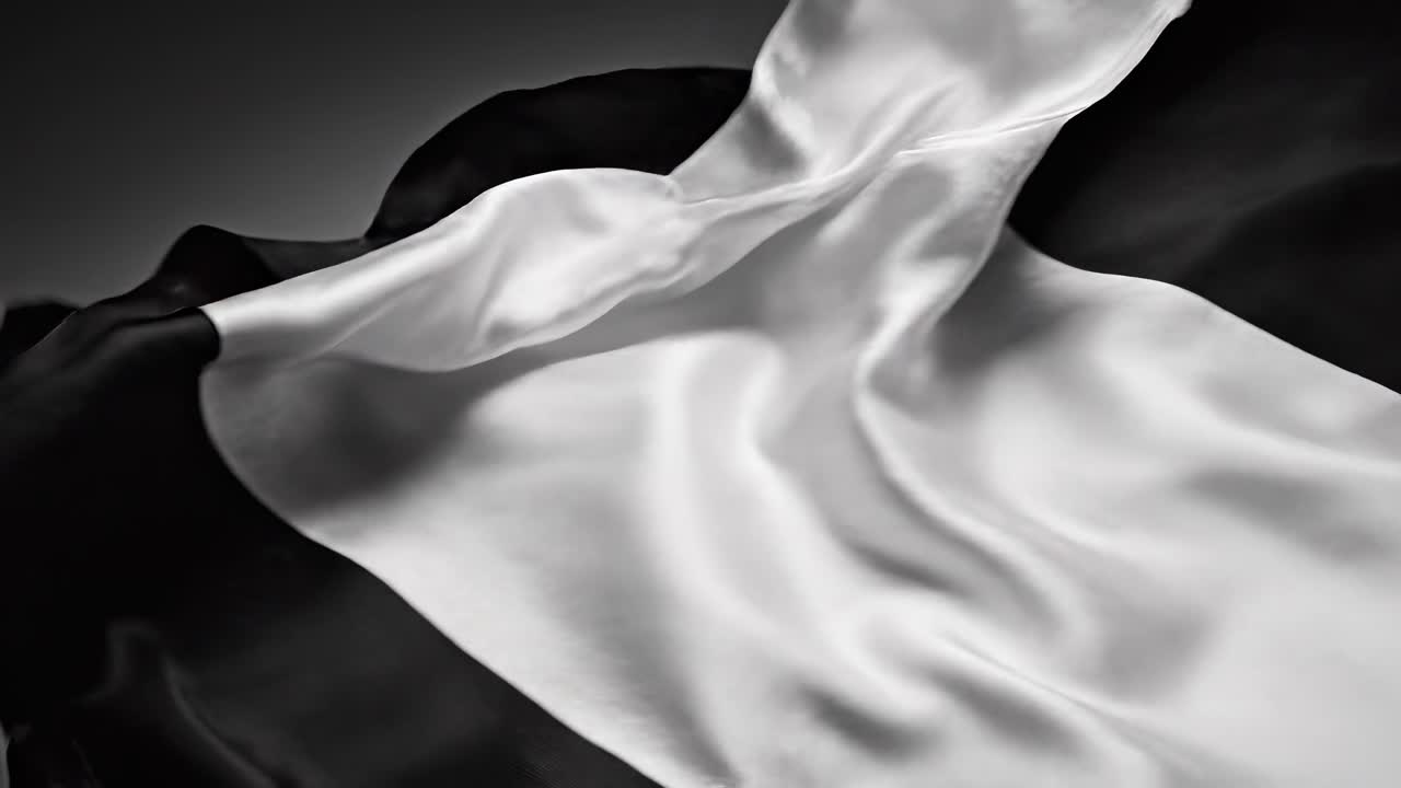 Onde astratte in bianco e nero, angolo ravvicinato, che creano un effetto fluido simile a un video