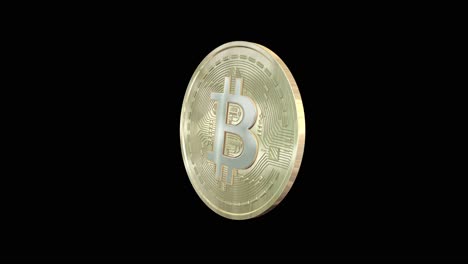 oro bitcoin, moneda de criptomoneda, modelo 3d girando sobre un fondo negro animación 3d