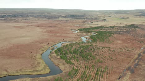 Wild-horses-grazing-at-the-side-of-a-river-in-Iceland,-scenic-aerial-landscape