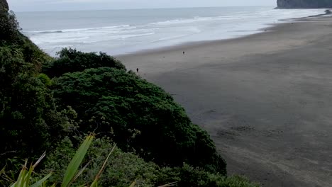 people walking their dogs on piha beach black sand beach on a grey, overcast rainy day in north island, auckland, new zealand aotearoa