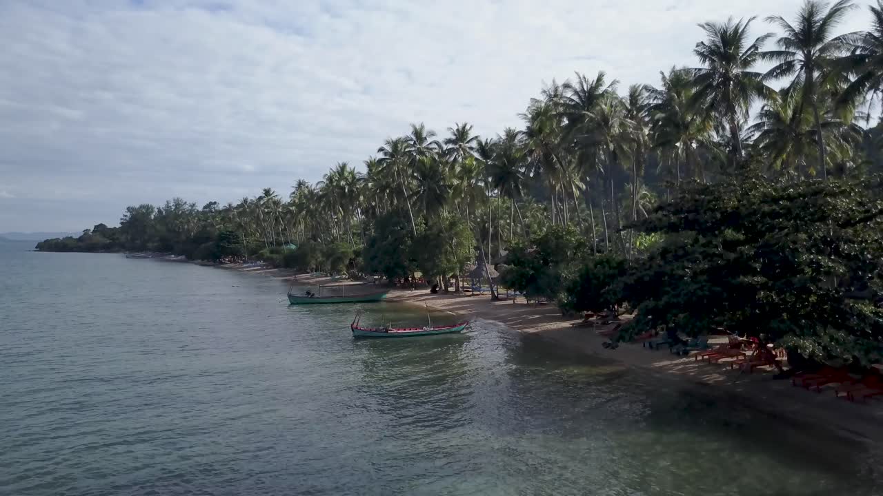Tropical Beach Scene with Palm Trees and Boats