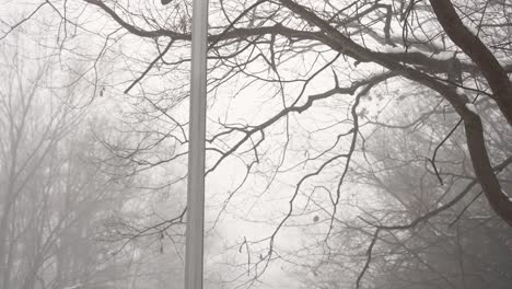 movimiento de inclinación de giro que muestra un día de niebla y una lámpara de calle