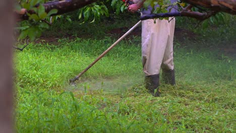 brush cutter machin cutting grass mid shot