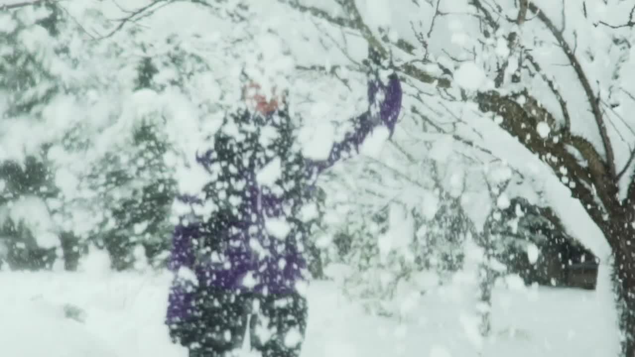 겨울 옷을 입은 백인 여성이 나뭇가지를 흔들고 눈이 내리는 120fps