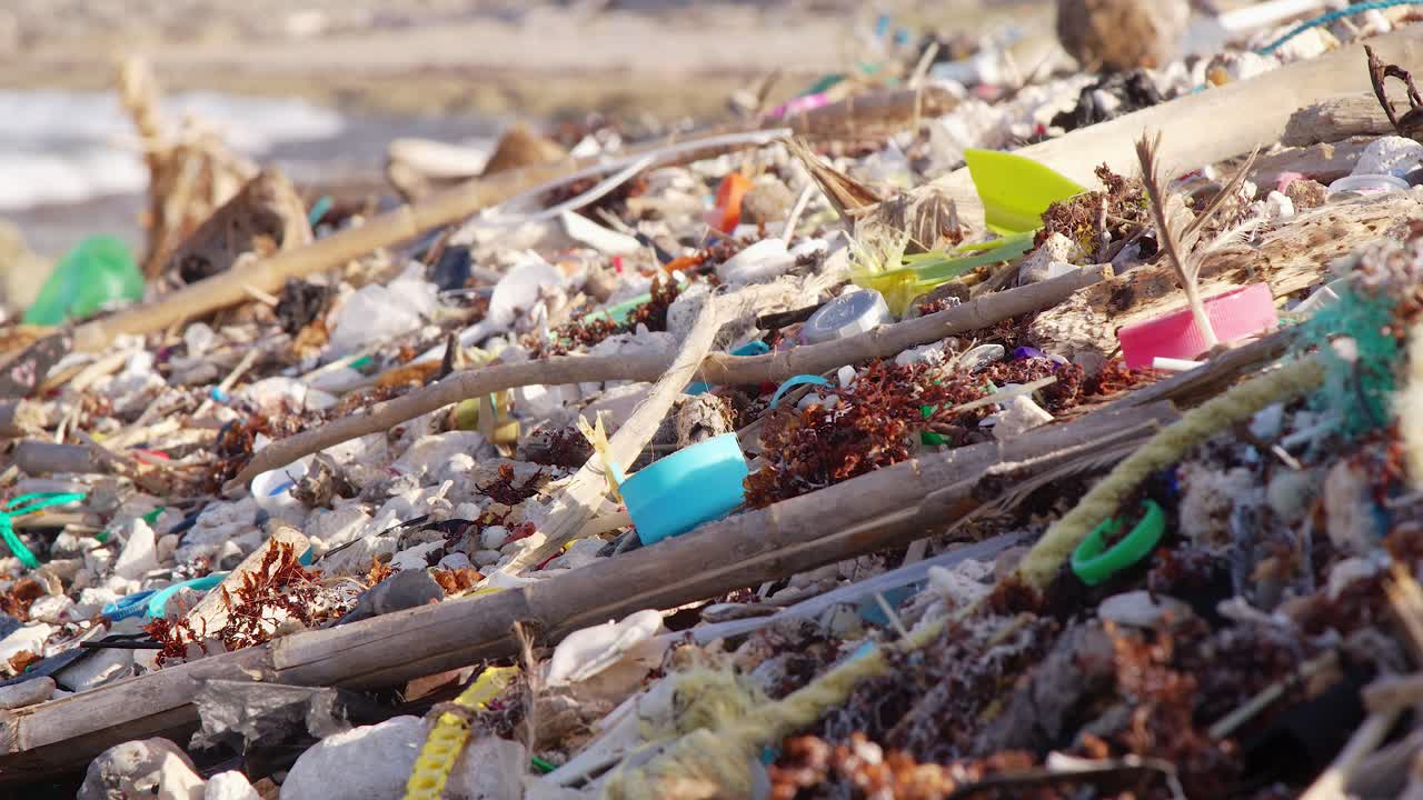 cerrar la bandeja de basura esparcida en la playa tropical el día de verano