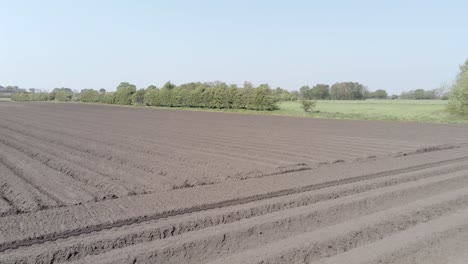 aerial drone view rows of fertile british agricultural rich soil furrow countryside low dolly right