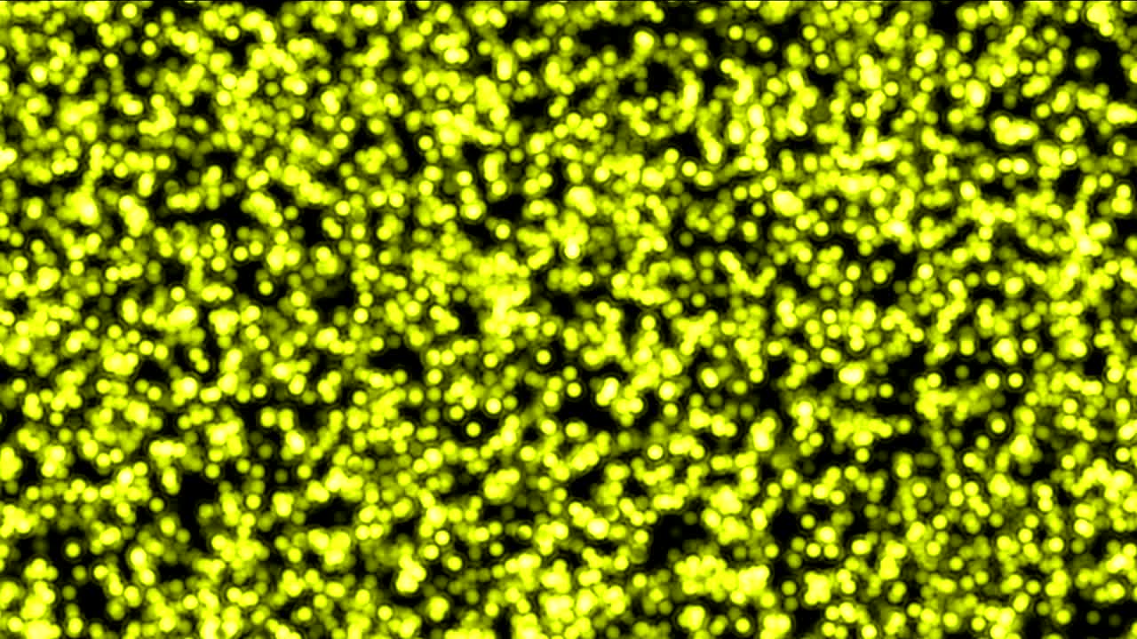 célula amarilla punto 4k