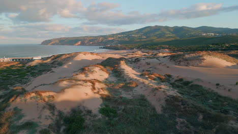 ocean dunes morning aerial view. peaceful untouched seaside in golden sunlight