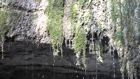 waterfall panoramic: water flows abundantly from moss, switzerland