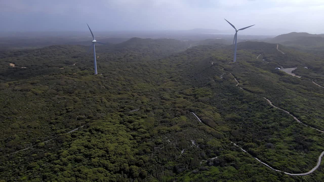 Aerial View of Wind Turbines in a Lush Green Landscape