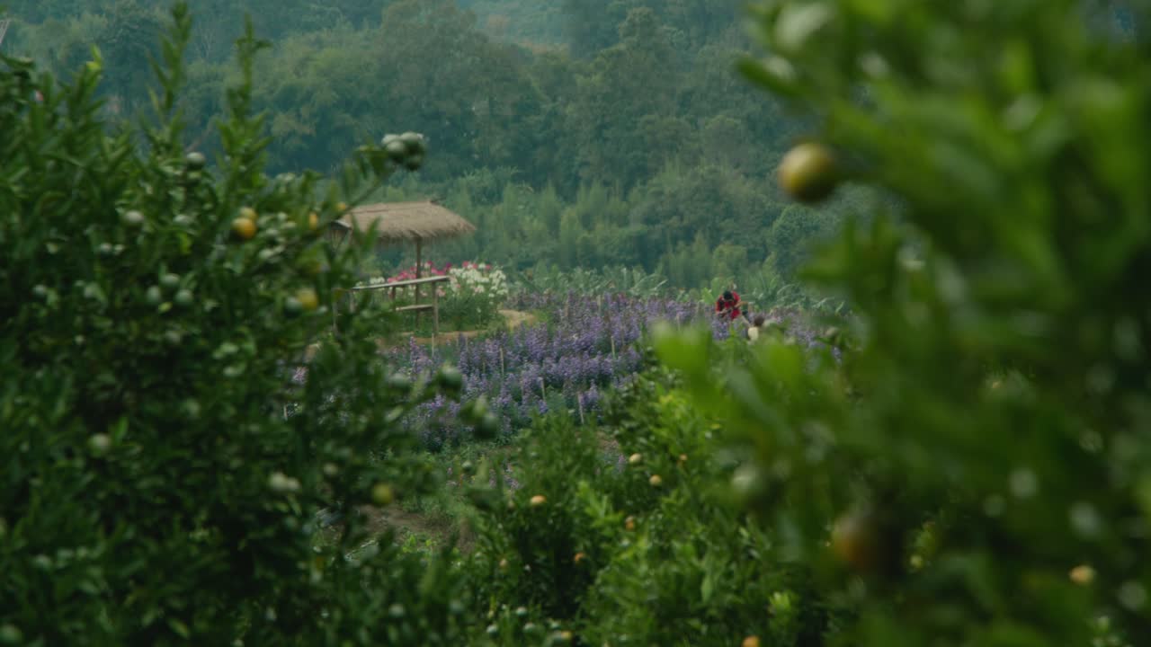 Flower Farm Landscape with People
