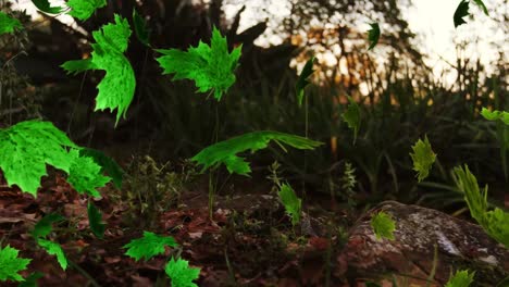 animación de varias hojas que caen sobre el bosque verde