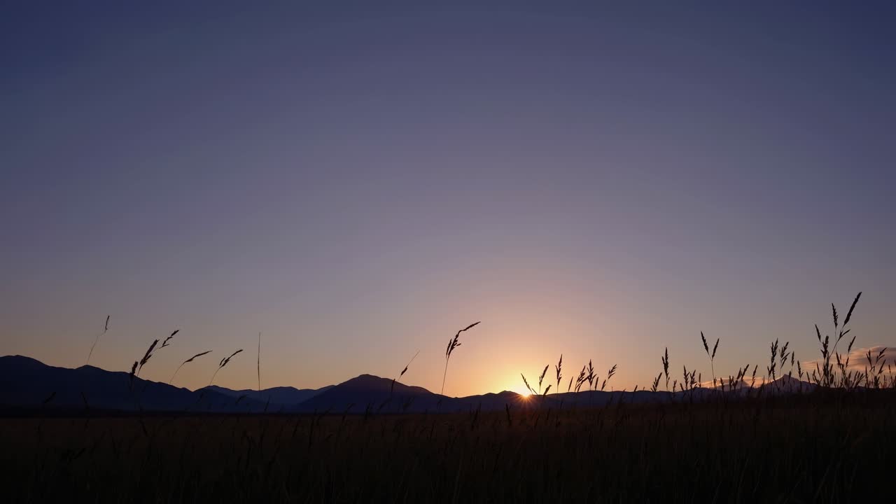 薄れていく空を背景にシルエットになった草木をローアングルで捉えた、穏やかな夕焼けの映像。