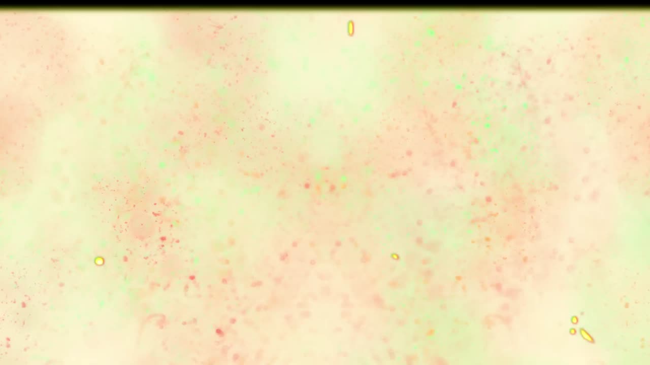 película vintage que se mueve en un bucle sin costuras